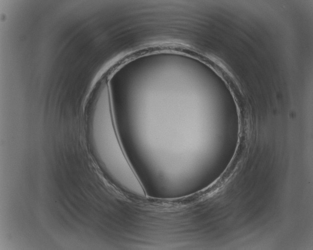 X0000081331022200701110958
