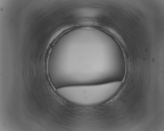 X0000081331023200701110958