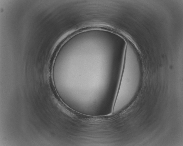 X0000081331024200701110958