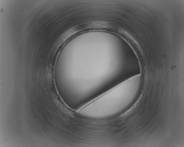X0000081331025200701110958