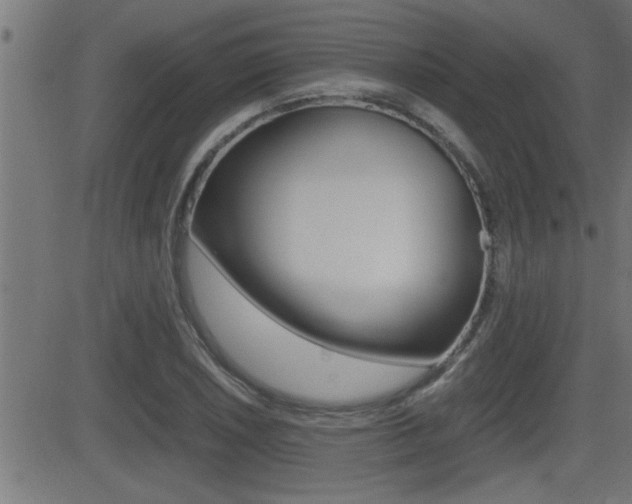 X0000081331026200701110958