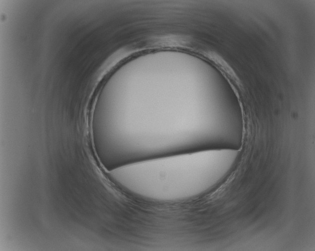 X0000081331031200701110958