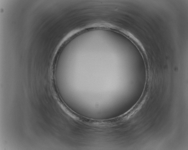 X0000081331037200701110958