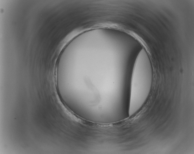 X0000081331055200701110958