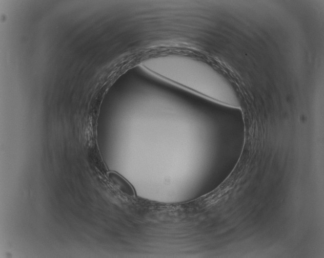 X0000081331062200701110957