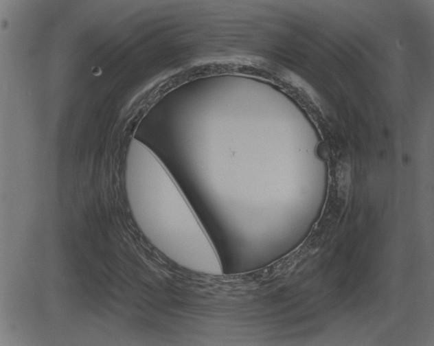X0000081331064200701110957