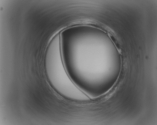 X0000081331081200701110957