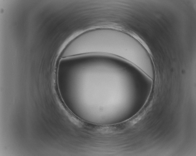 X0000081331093200701110957