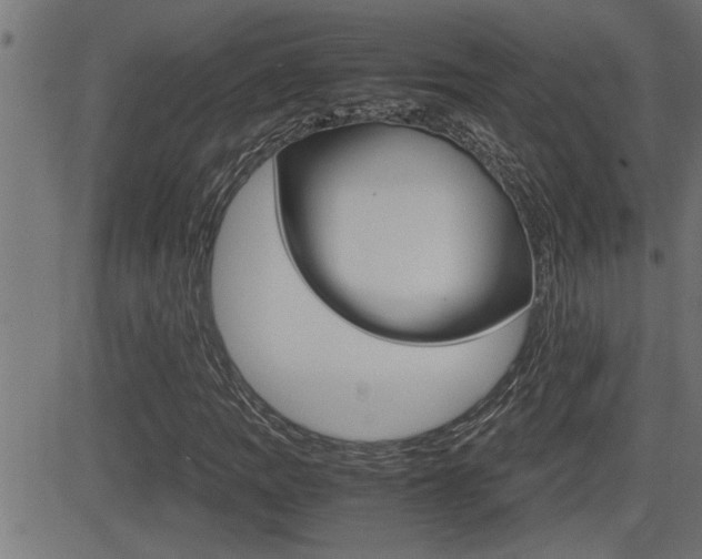 X0000081331109200701110956