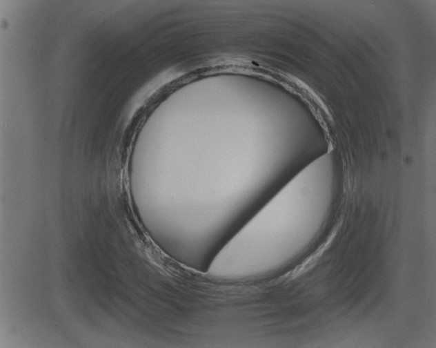 X0000081331117200701110956