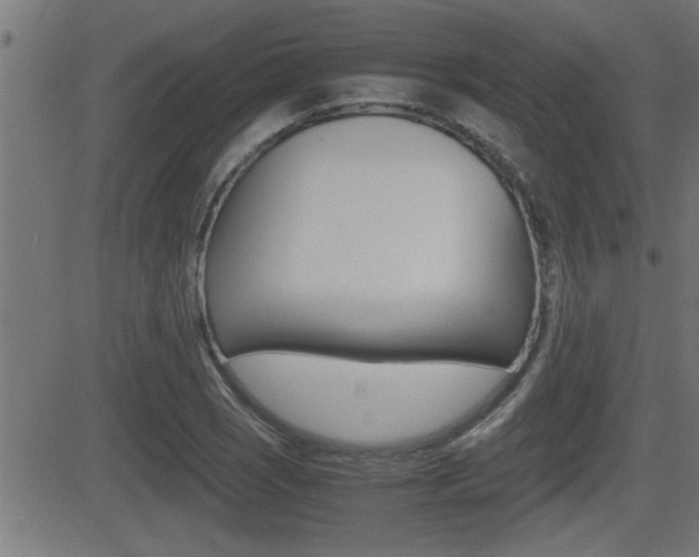 X0000081331121200701110956