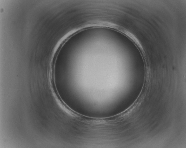 X0000081331136200701110956