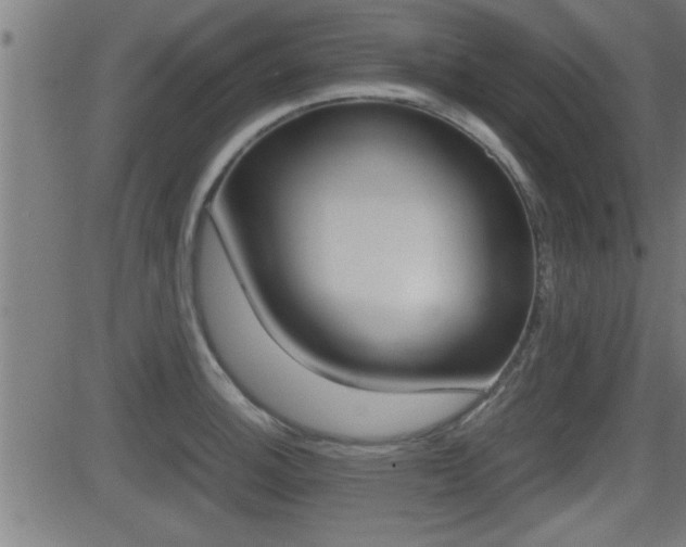 X0000081331140200701110956