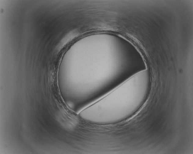 X0000081331163200701110956