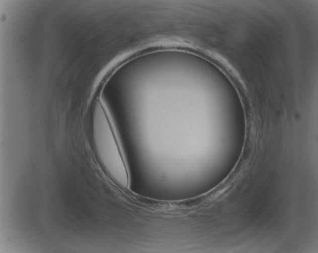X0000081331175200701110955