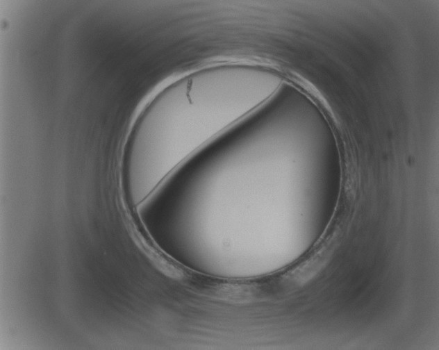 X0000081331179200701110955