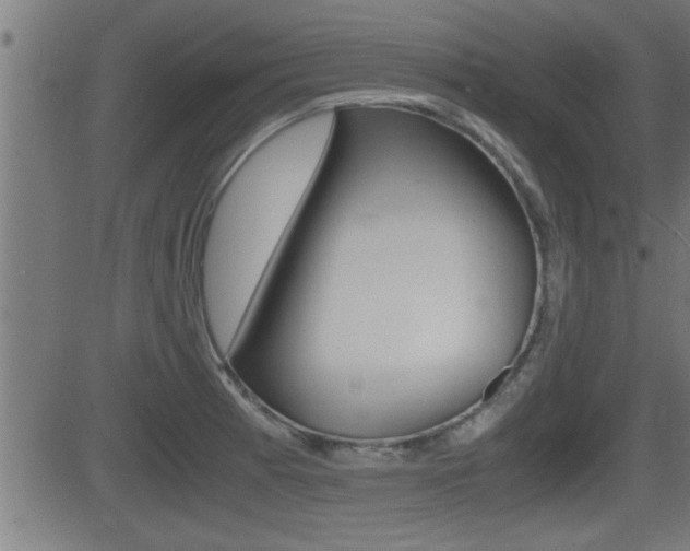 X0000081331185200701110955