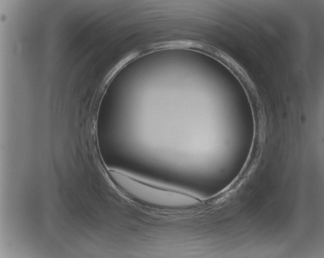 X0000081331193200701110955