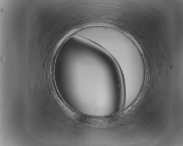 X0000081331197200701110955