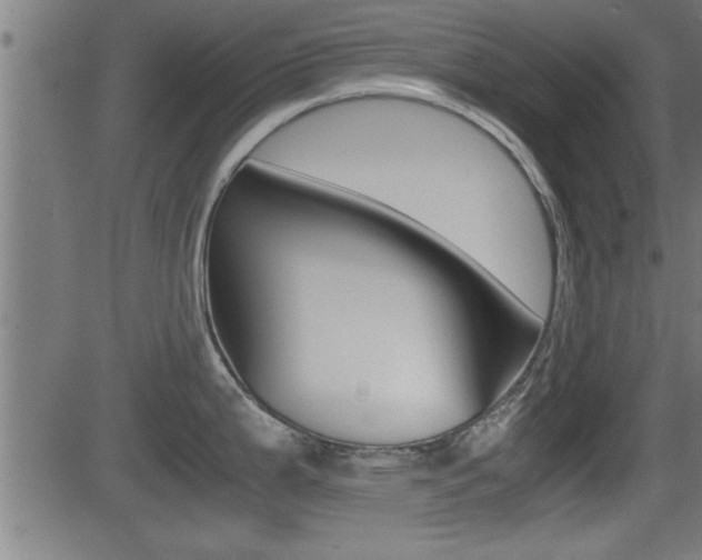 X0000081331199200701110955