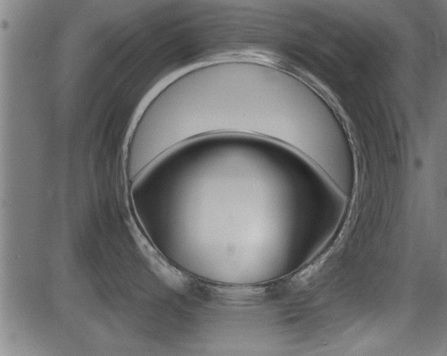 X0000081331200200701110955
