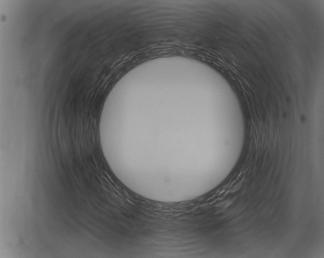 X0000081331202200701110954