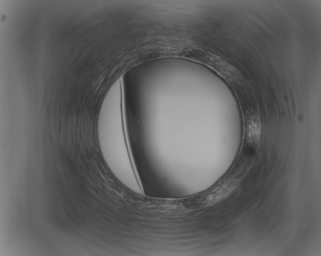 X0000081331204200701110954