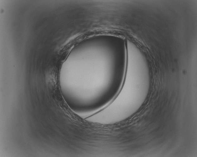 X0000081331206200701110954