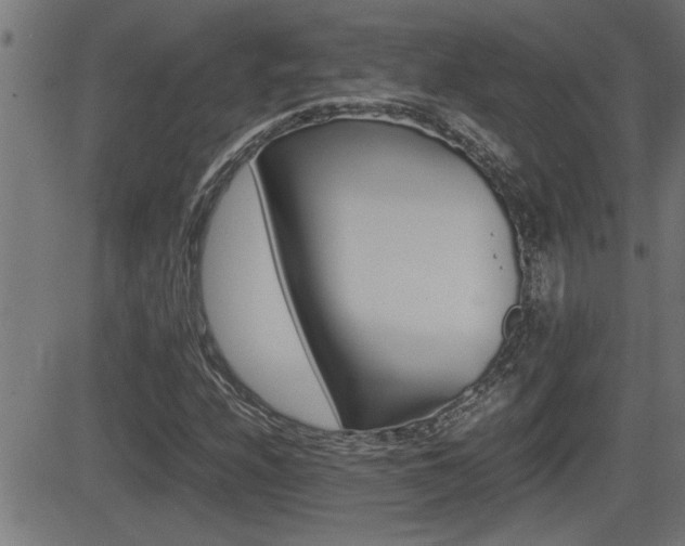 X0000081331208200701110954
