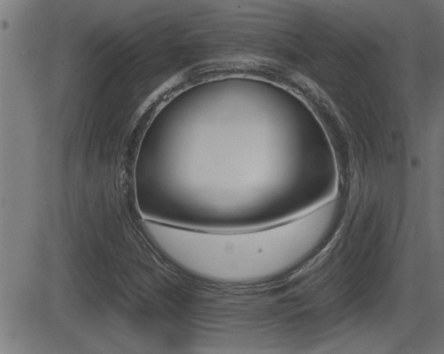 X0000081331210200701110954