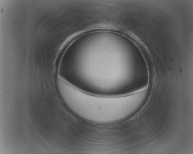 X0000081331222200701110955