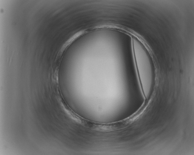 X0000081331241200701110955