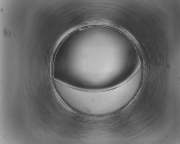 X0000081331246200701110955