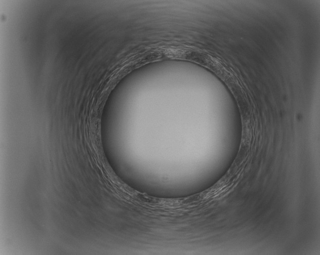 X0000081331249200701110954