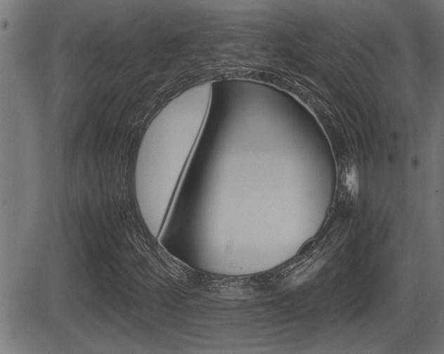 X0000081331252200701110954