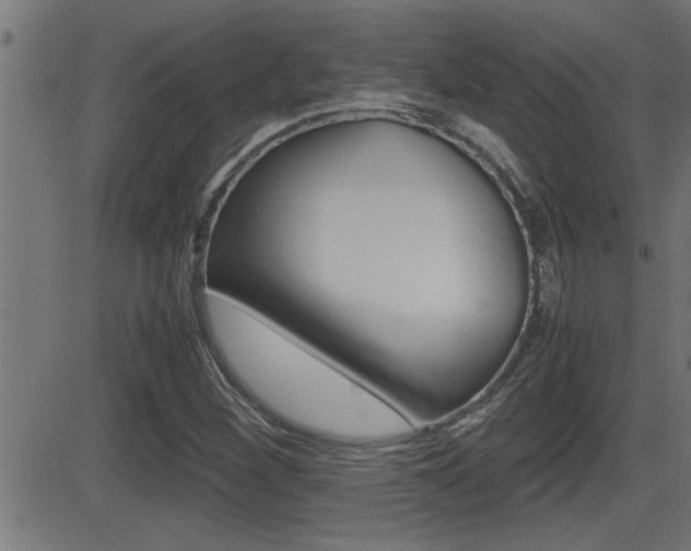 X0000081331260200701110954