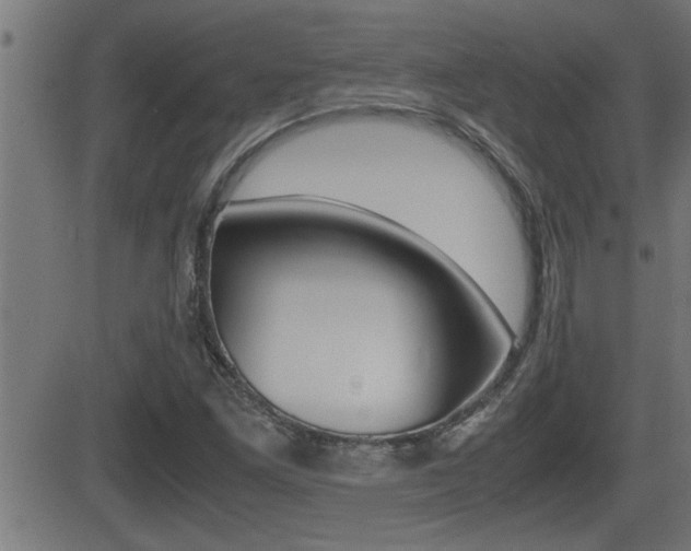 X0000081331261200701110954