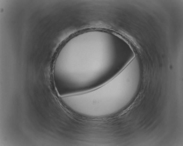 X0000081331264200701110954