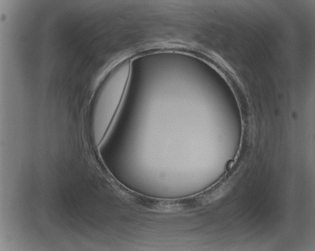 X0000081331269200701110954