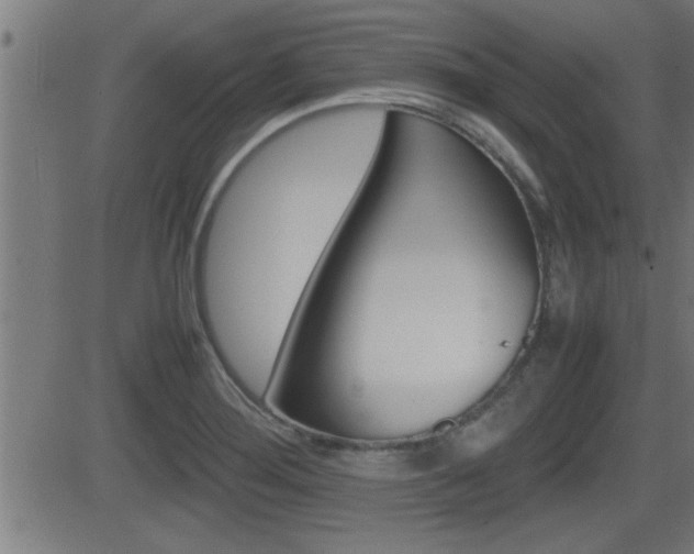 X0000081331276200701110954