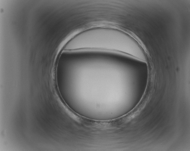 X0000081331285200701110954