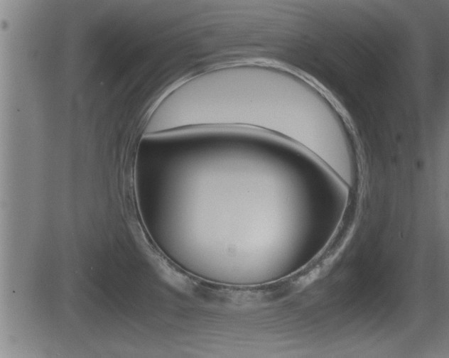 X0000081331289200701110953