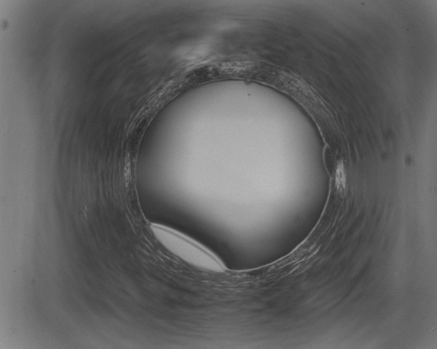 X0000081331299200701110953
