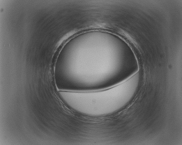 X0000081331308200701110953