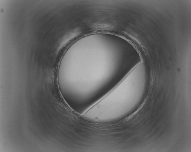 X0000081331309200701110953