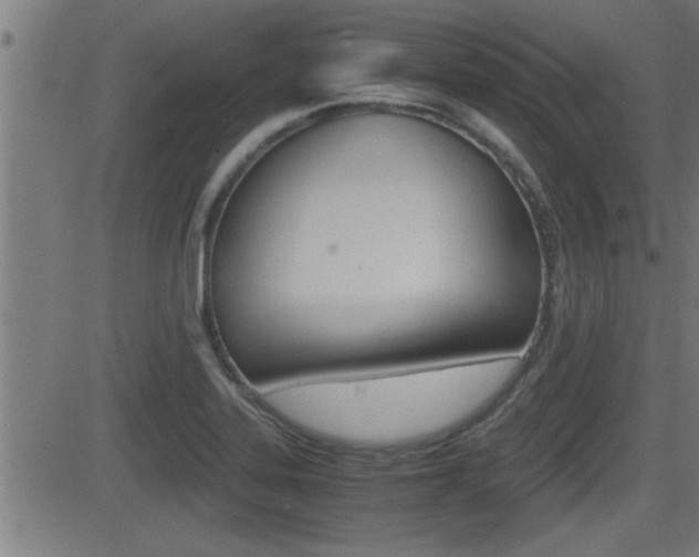 X0000081331323200701110953
