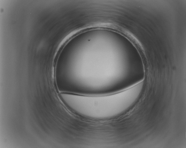 X0000081331324200701110953