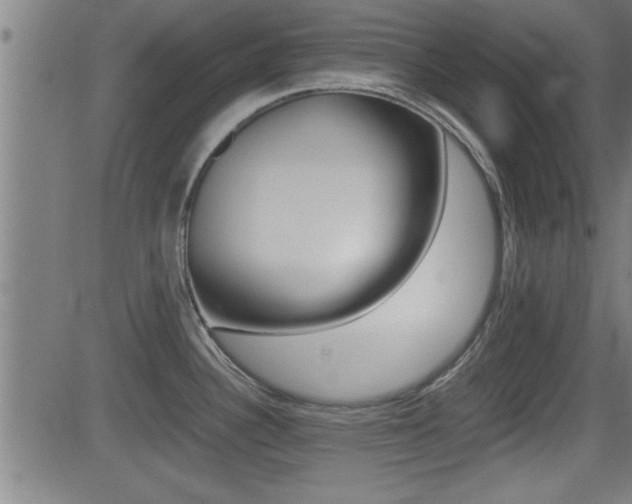 X0000081331340200701110953