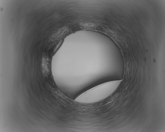 X0000081331346200701110953