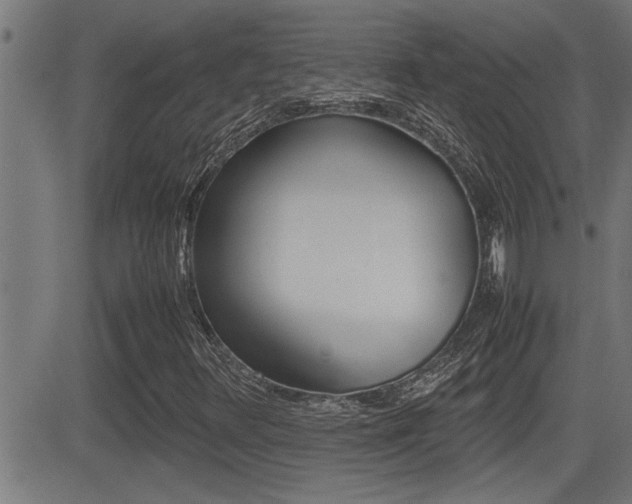 X0000081331348200701110953